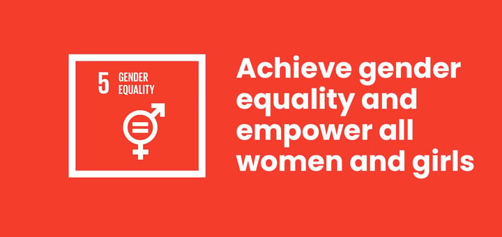 Race for the 2030 Sustainable Agenda: Snapshot of Gender Equality in 2023